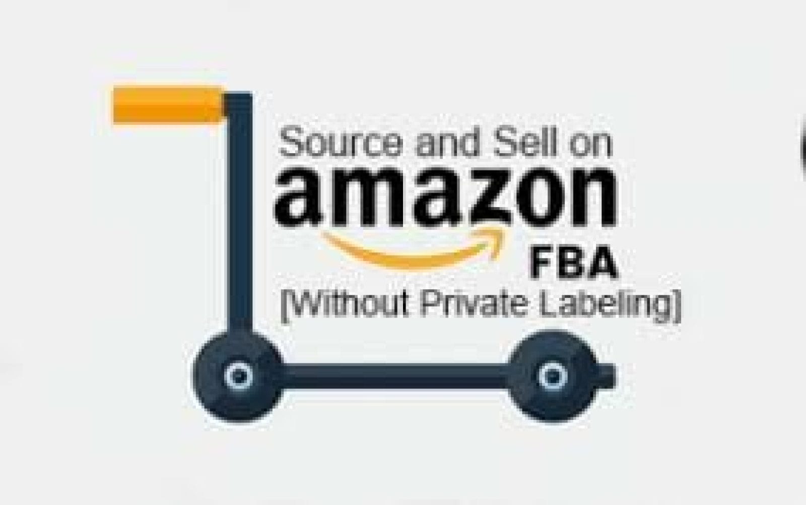 Amazon FBA Course PDF – Learn How to Sell on Amazon