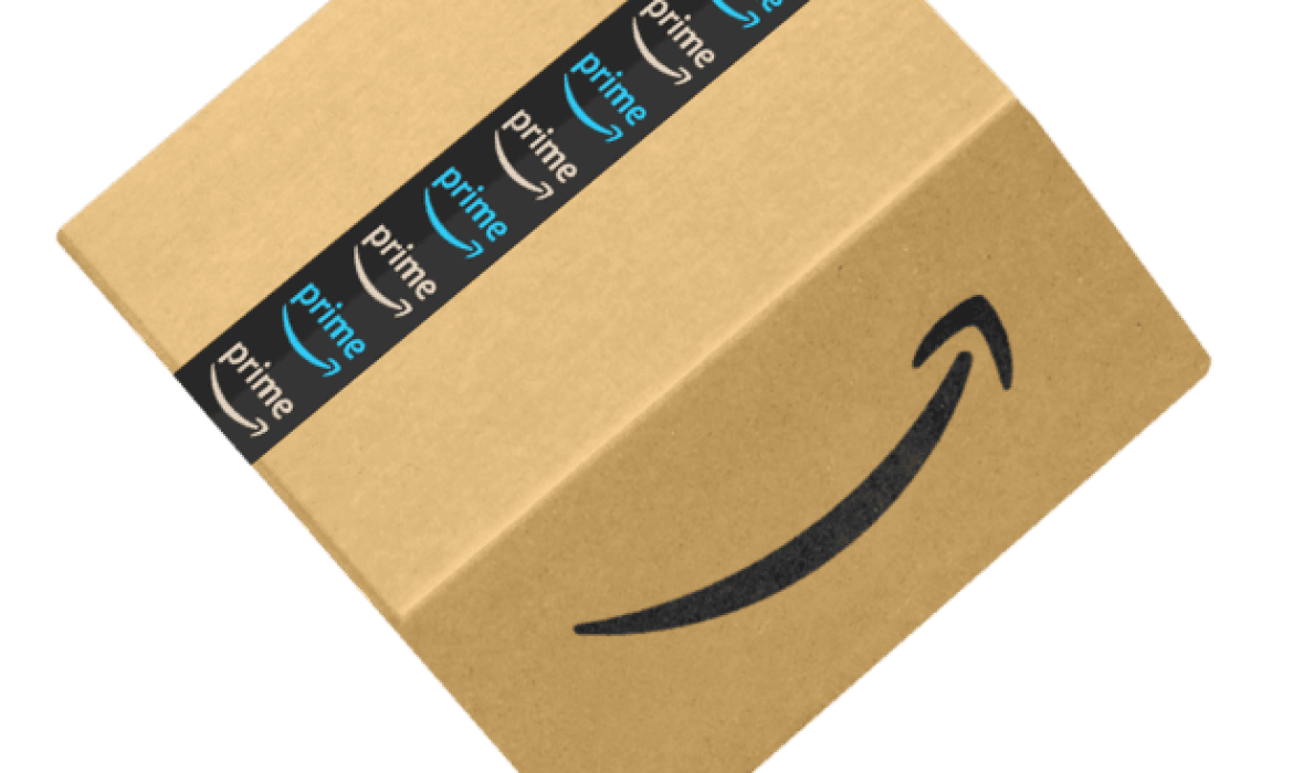 Amazon FBA Fees in 2022